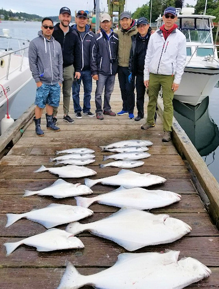 Catch of BC salmon and halibut