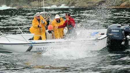 Guided Fishing at the MV Salmon Seeker